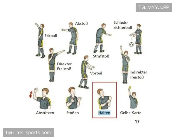 裁判手势的足球规则作用与常见判罚含义解析
